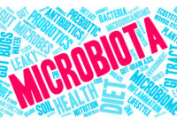 Exploring the Role of Microbiota in Ear Health and Balance